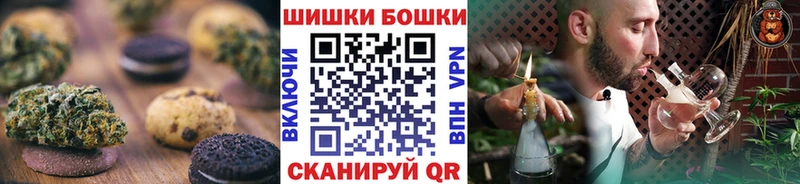 Купить закладки  Карачаевск  Canna-Cookies конопля 