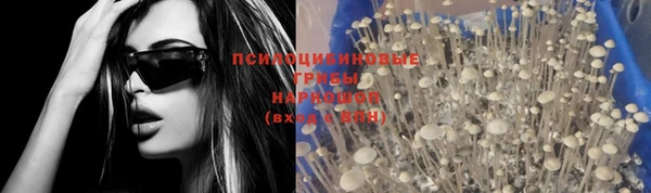 крисы Карталы