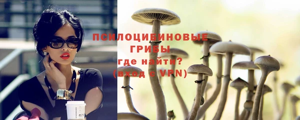 крисы Карталы