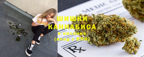a pvp Карпинск
