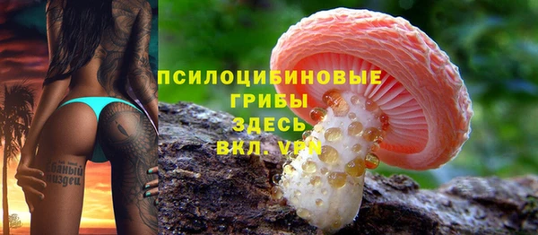 a pvp Карпинск