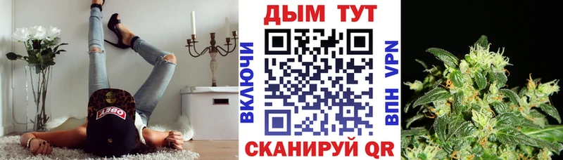 Купить где  Карачаевск  Бошки марихуана планчик 